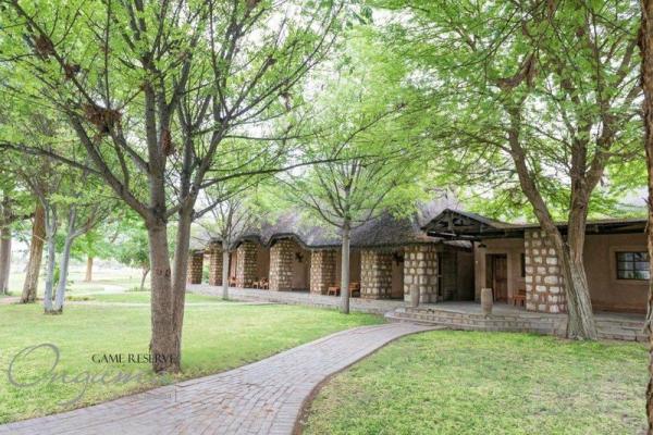 Onguma Bush Camp