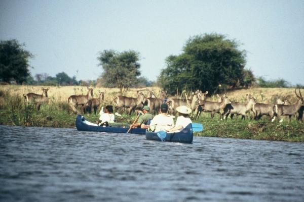 Camp Nkwazi