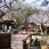 Tembe Elephant Lodge