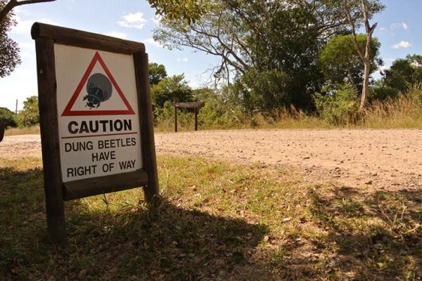 Tembe Elephant Lodge