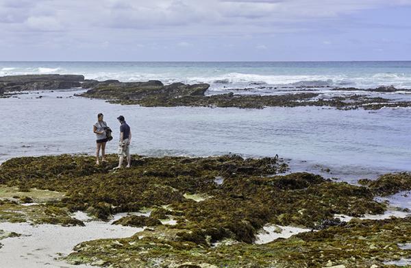 Accommodation - De Hoop Nature Reserve