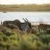 Accommodation - De Hoop Nature Reserve