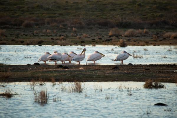 Accommodation - De Hoop Nature Reserve