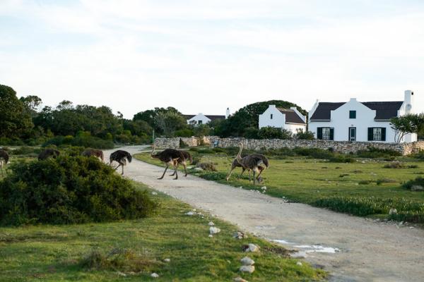 Accommodation - De Hoop Nature Reserve