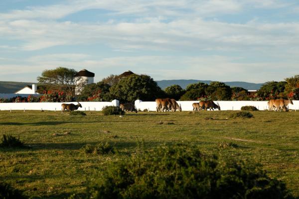 Accommodation - De Hoop Nature Reserve