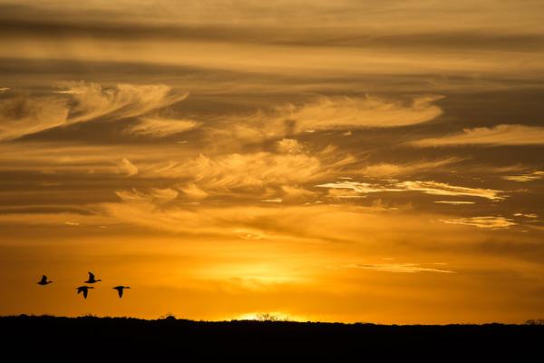 Accommodation - De Hoop Nature Reserve