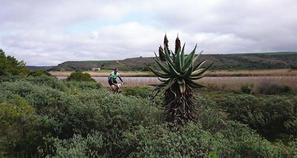 De Hoop Nature Reserve