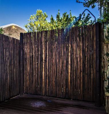 Luxury Outdoor Shower 