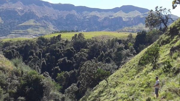 View of Lankloof