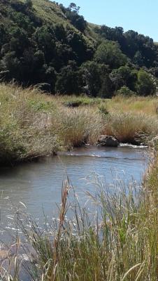 The putterill spruit