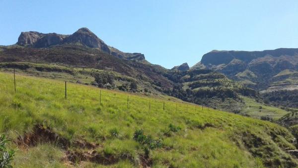 View from Langkloof