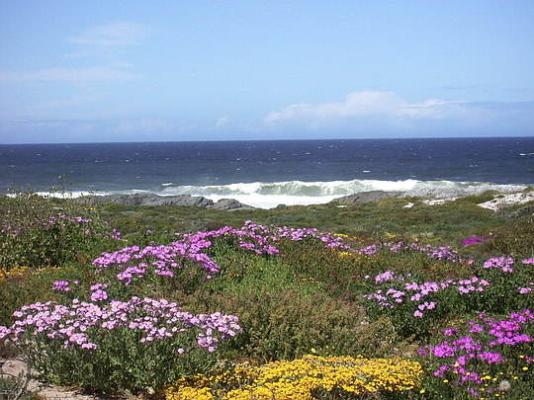 West Coast National Park