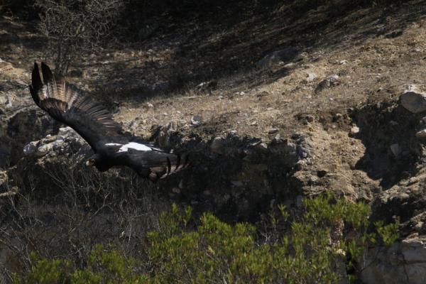 West Coast Nature Reserve