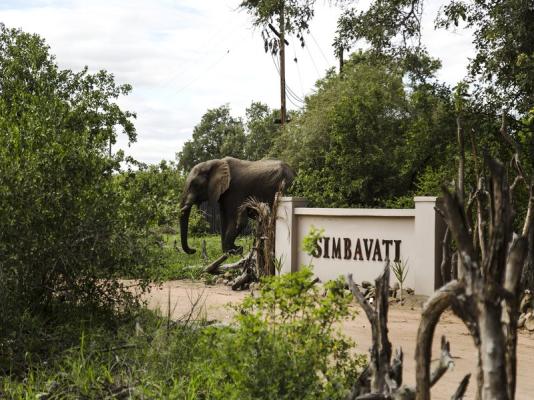 Simbavati River Lodge