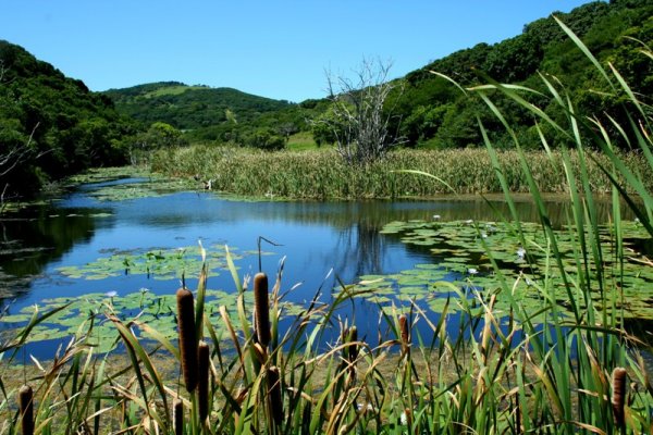 Ngulube Dam