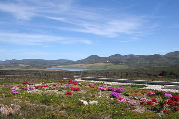 fynbos nature reserve