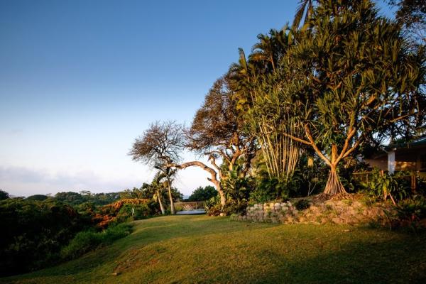 The St Lucia Eco Lodge