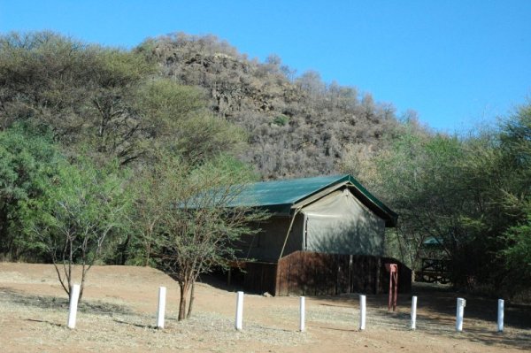 Executive Safari Tent