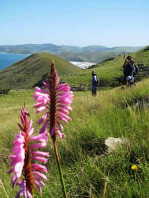 Wild Coast Meander Hiking Trail