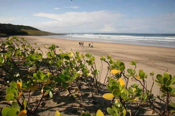 Wild Coast Mini Meander Hiking Trail