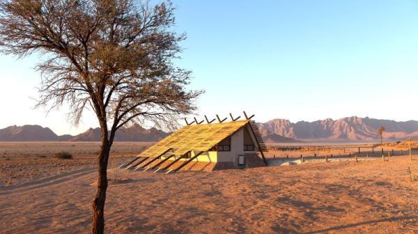 Desert Quiver Camp