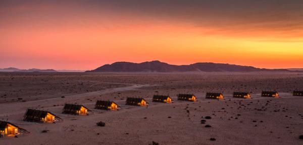 Desert Quiver Camp