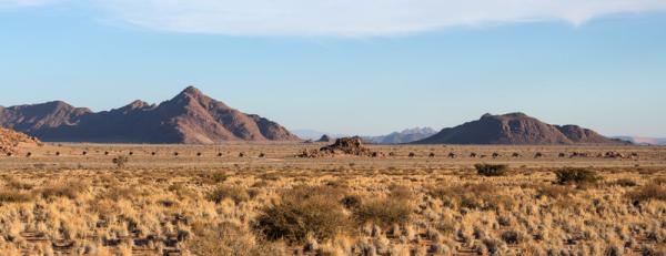 Desert Quiver Camp