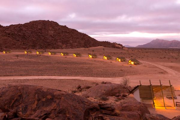 Desert Quiver Camp