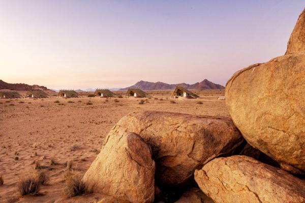 Desert Quiver Camp