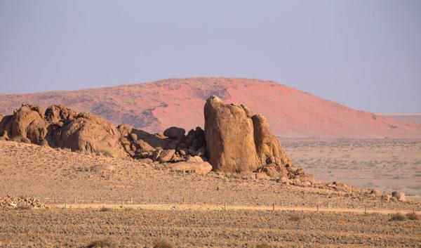 Desert Quiver Camp