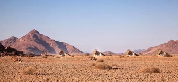 Desert Quiver Camp