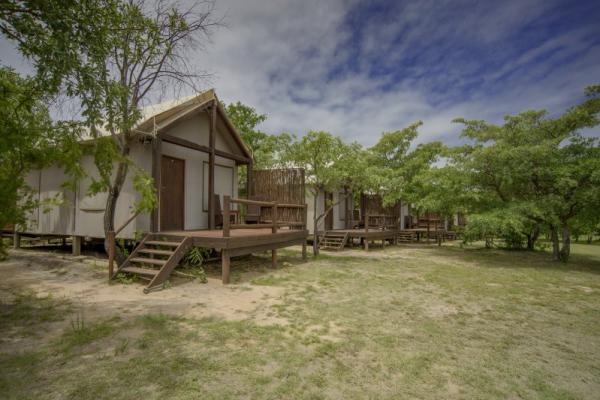 Nkambeni Safari Camp - Game Lodge 
