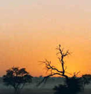 Nossob Restcamp - Kgalagadi Park