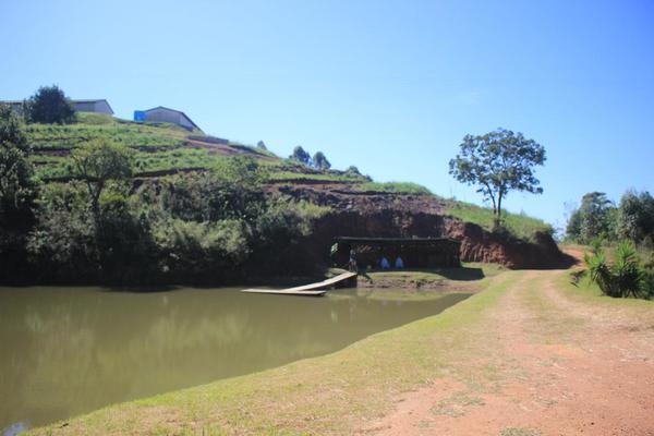 Silverstreams Lodge and Cottages