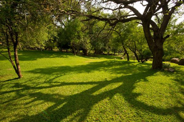 Lodge Garden