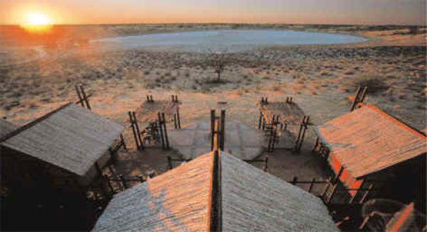 Bitterpan Dune Camp - Kgalagadi Park