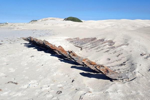 Arniston Wreck