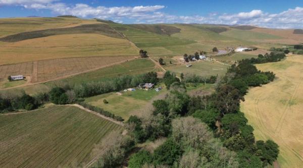 Aerial photo of the farm