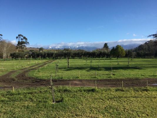 Snow on the Franchhoek mountains