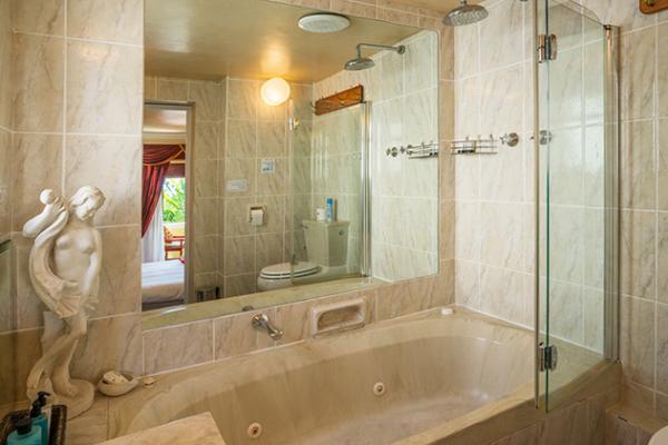 Mid-Level Bedroom en-suite /shower