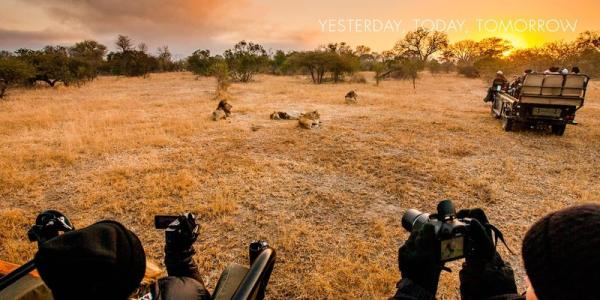 Sabi Sabi Private Game Reserve