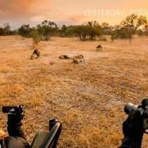 Sabi Sabi Private Game Reserve