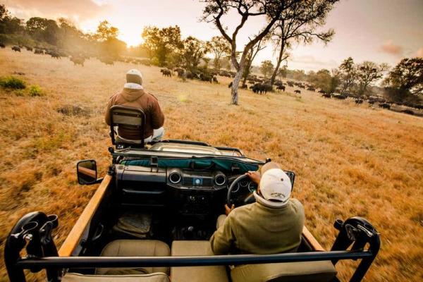 Sabi Sabi Private Game Reserve