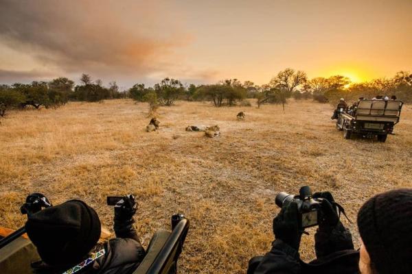 Sabi Sabi Private Game Reserve