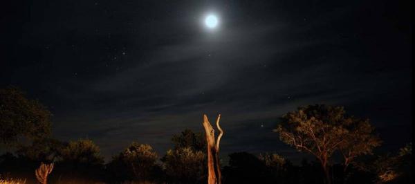 Earth Lodge - Sabi Sabi