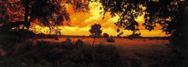 Selati Camp - Sabi Sabi