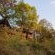 Selati Camp - Sabi Sabi