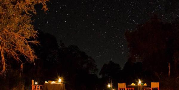 Little Bush Camp - Sabi Sabi