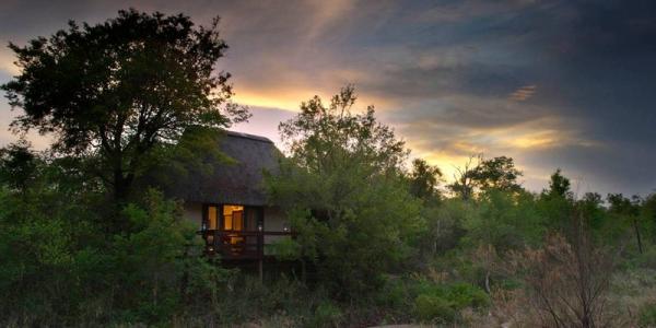 Little Bush Camp - Sabi Sabi