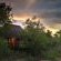 Little Bush Camp - Sabi Sabi
